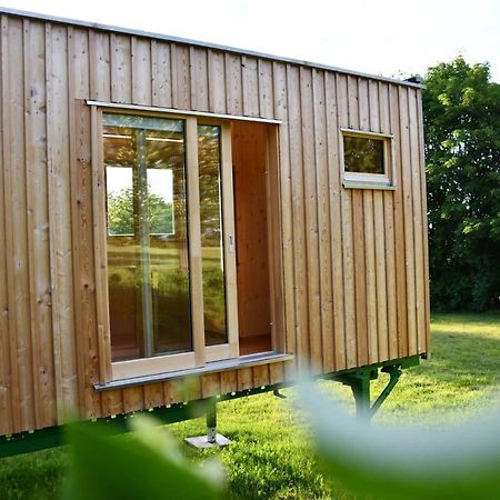 Villa Larix-Das Vollholzhaus Direkt Am Berzdorfer See กอร์ลิตซ์ ภายนอก รูปภาพ